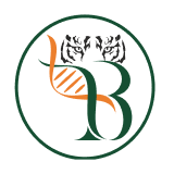 3B Blackbio Dx Limited logo