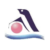 Accuracy Shipping Limited logo