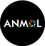 Anmol India Limited logo