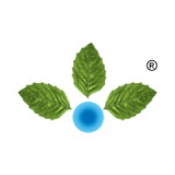 Anupam Rasayan India Limited logo