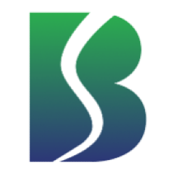 Belrise Industries Limited logo