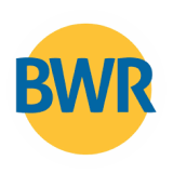 Bharat Wire Ropes Limited logo