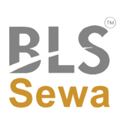 BLS E-Services Limited logo