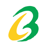 Brace Port Logistics Limited logo