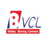 Barak Valley Cements Limited logo