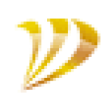 Deccan Gold Mines Limited logo