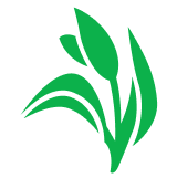 Dhunseri Tea & Industries Limited logo