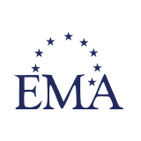 EMA Partners India Limited logo