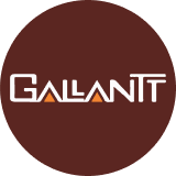 Gallantt Ispat Limited logo
