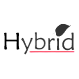 Hybrid Financial Services Limited logo