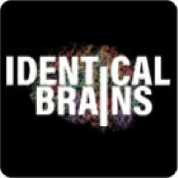 Identical Brains Studios Limited logo