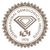International Gemmological Institute (India) Limited logo
