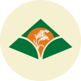 KRBL Limited logo