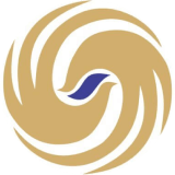 Lagnam Spintex Limited logo