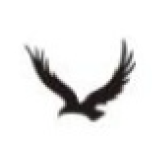 Lorenzini Apparels Limited logo