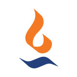 Max India Limited logo
