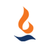 Max Financial Services Limited logo