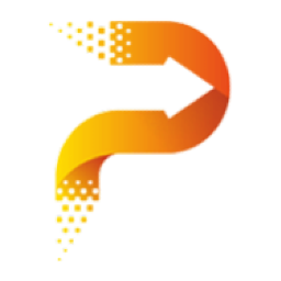 Pace Digitek Limited logo