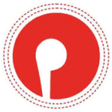Pioneer Embroideries Limited logo