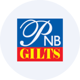 PNB Gilts Limited logo
