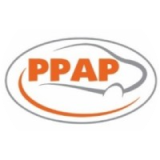PPAP Automotive Limited logo