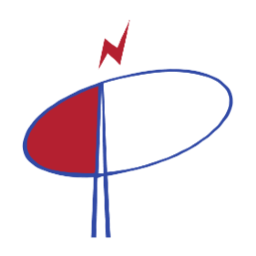 Prime Cable Industries Limited logo