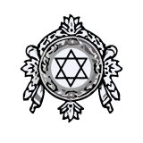 Rajapalayam Mills Limited logo