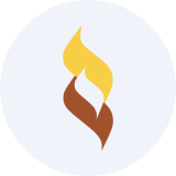 Sarda Energy & Minerals Limited logo