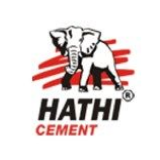 Saurashtra Cement Limited logo