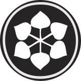 Shriram Pistons & Rings Limited logo