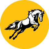Tembo Global Industries Limited logo
