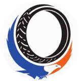 TVS Srichakra Limited logo