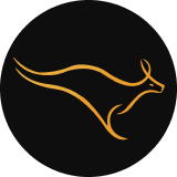V-Guard Industries Limited logo