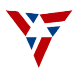 Vidya Wires Limited logo