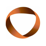 Viji Finance Limited logo
