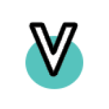Vinny Overseas Limited logo