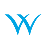 Welspun Investments and Commercials Limited logo